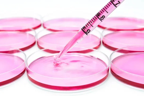 Animal Cell Culture Techniques