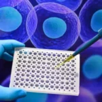 Cellculture Technique Training