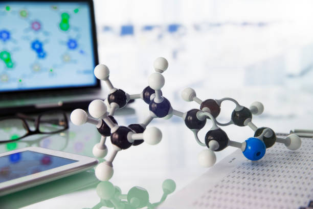 Drug Design and Molecular Docking Training